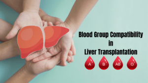 blood-group-liver-transplantation